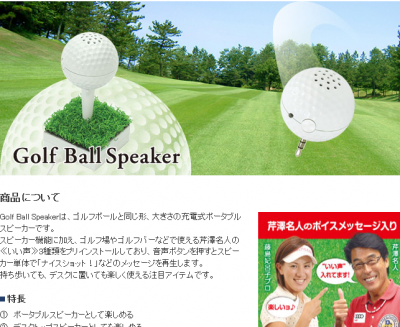 シネックスインフォテック