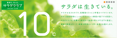 野菜
